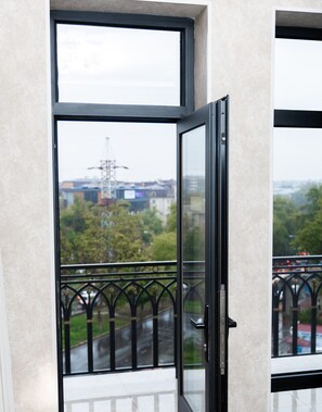 Vista des de l'habitació