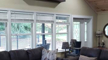 Smart TV, fireplace, books