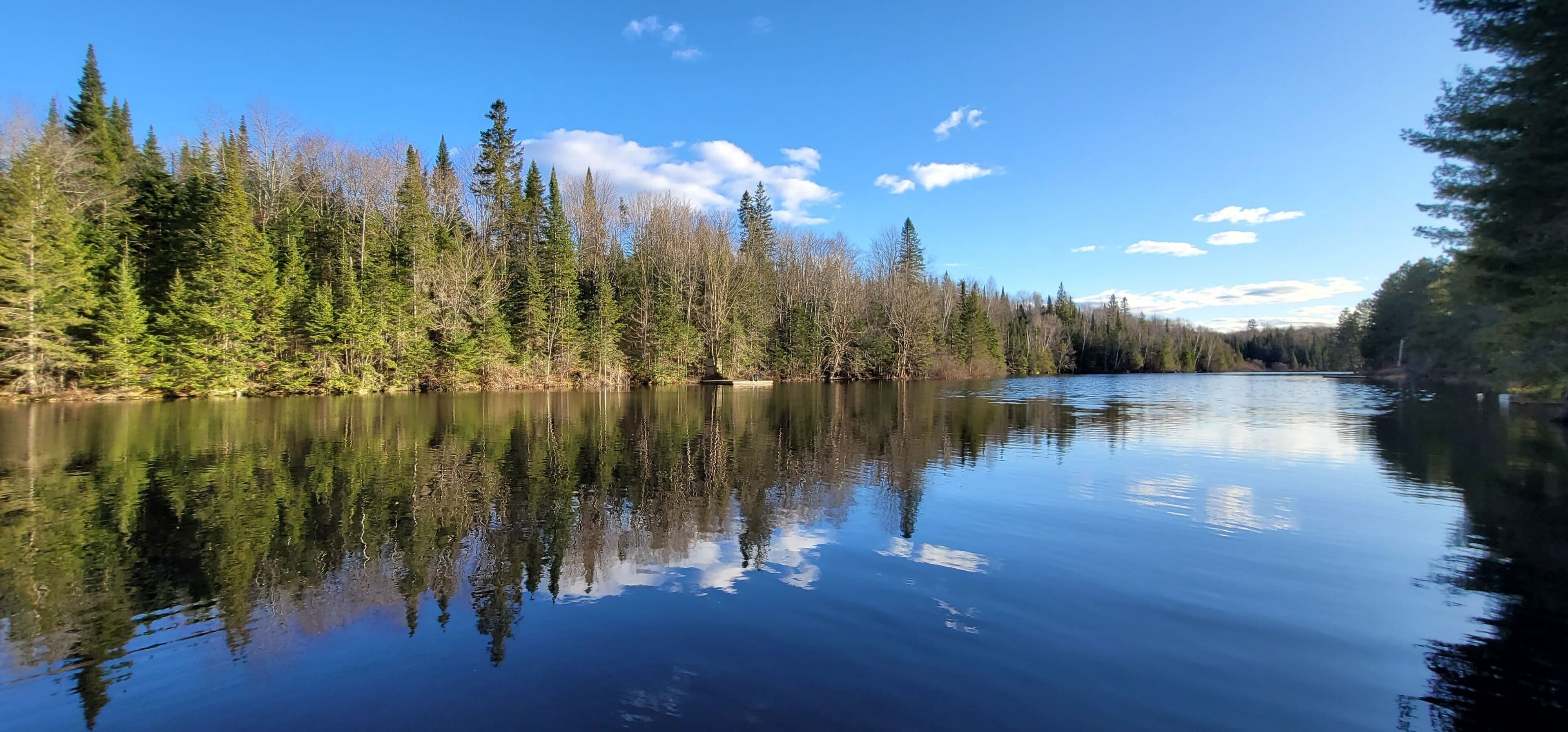 A calm lake surrounded by dense forest.