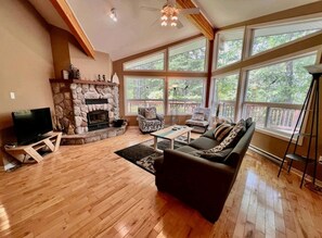 TV, fireplace, video library