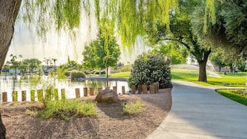 Terrain de l’hébergement