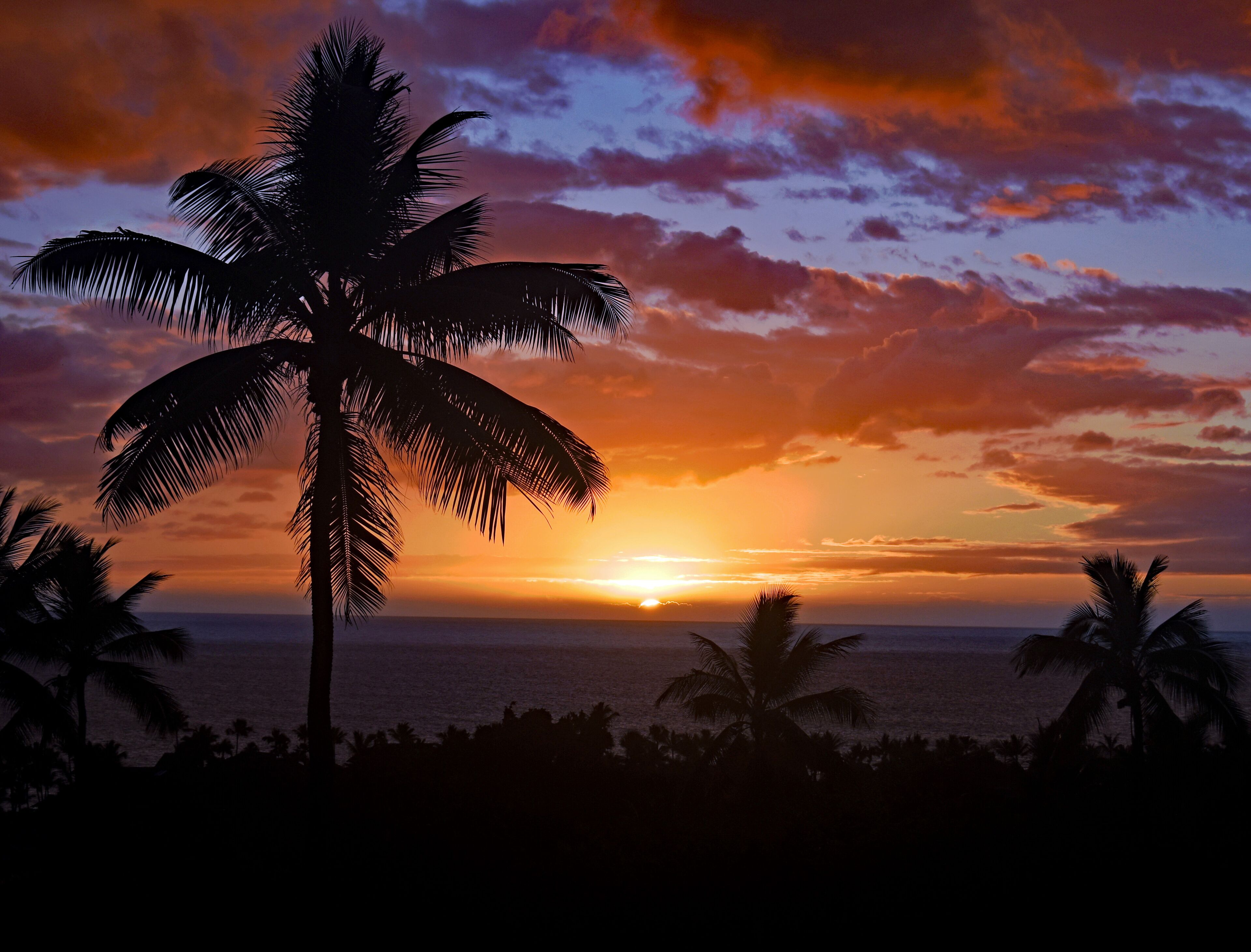 Country Club Villa | Ocean Views, 2 Bdrm with loft