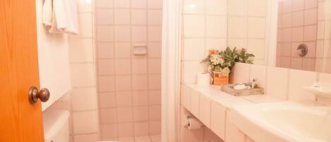 A bathroom with a toilet, shower, and sink.