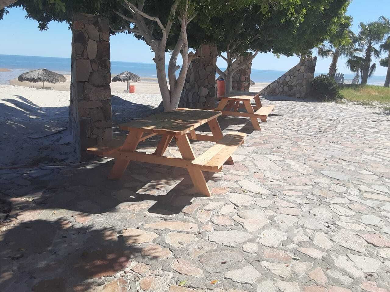 Un área de picnic en la playa con mesas y bancos de piedra bajo los árboles, con vista al océano.