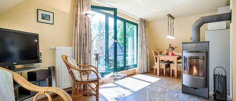 Télévision, cheminée, chaîne hi-fi