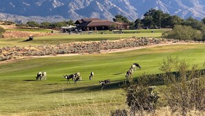 A golf course with a clubhouse, mountains in the background, and grazing animals. - Resort Golf Course Living With Amazing Golf and Mountain Views (Tucson)