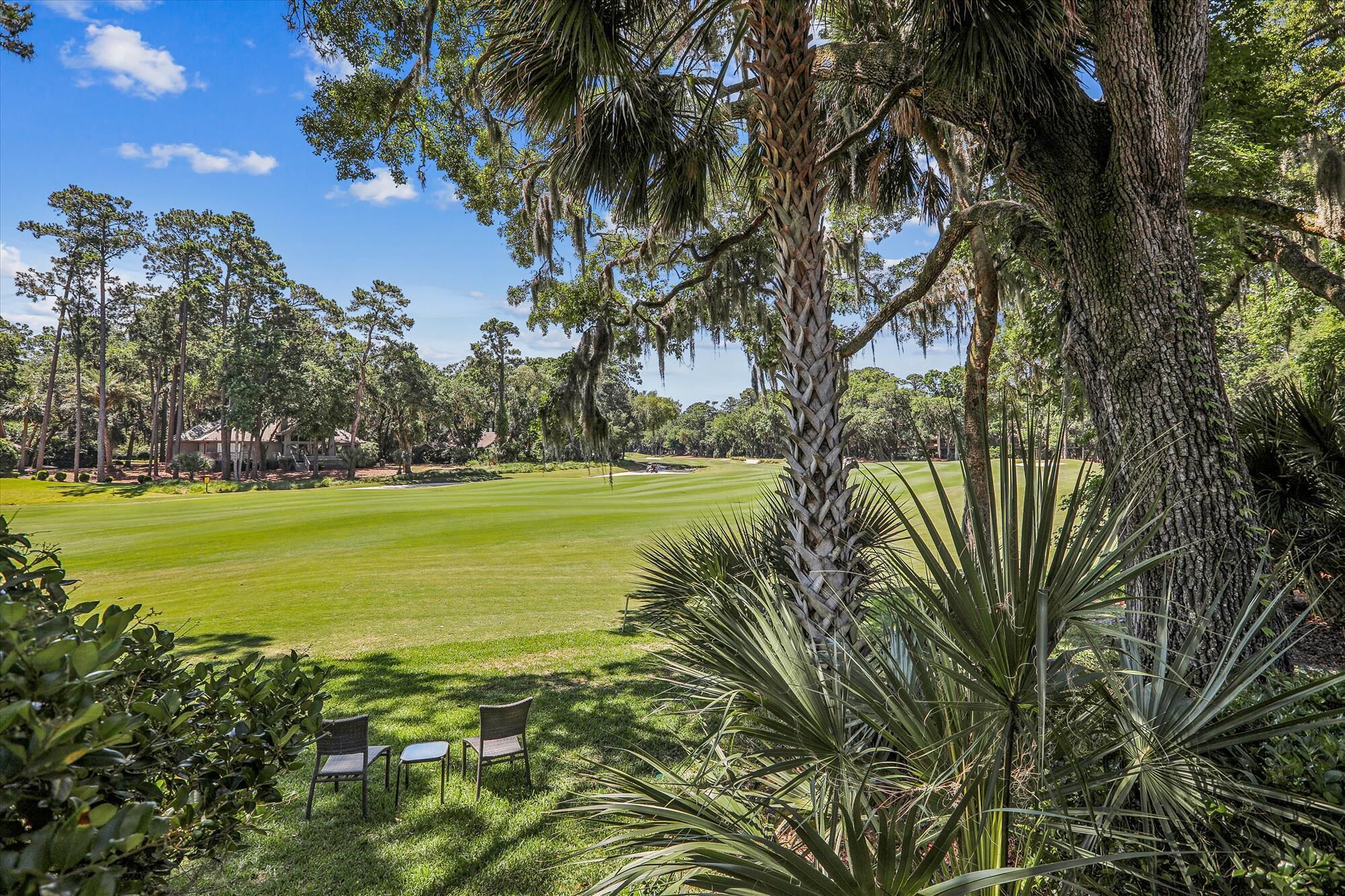 A golf course with a well-manicured green, surrounded by tall trees and a variety of shrubs.