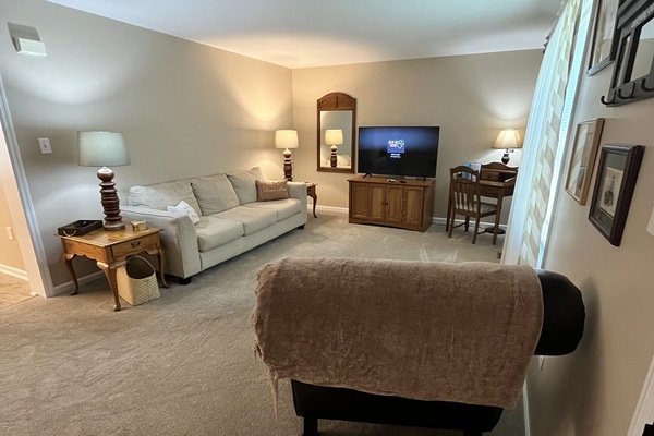 Smart TV, DVD player, books, video library