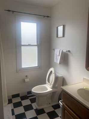 Deep-soaking bathtub, hydromassage showerhead, free toiletries - River Inn Motel (Fox River Grove)