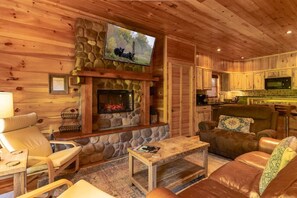 Télévision, cheminée, jeux vidéo