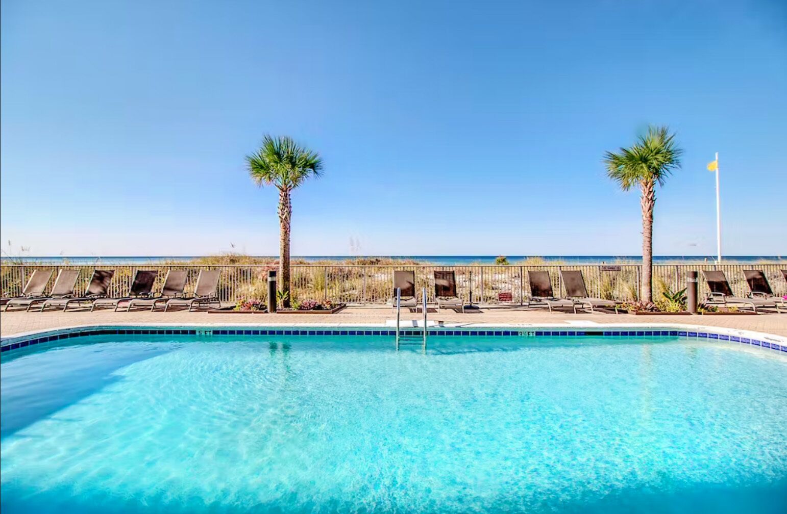 A pool with clear blue water, surrounded by lounge chairs and palm trees.