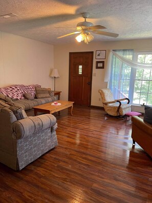 TV, fireplace, books