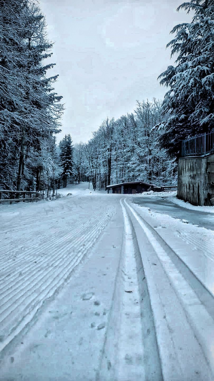 A snow-covered road flanked by trees and a building with a fence.