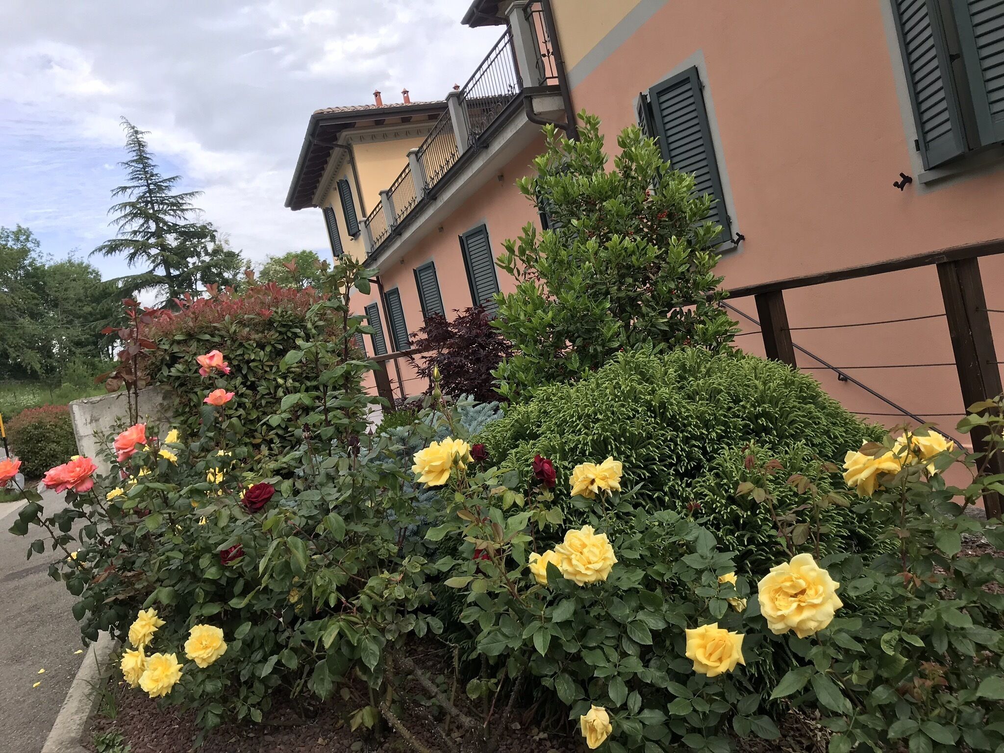 Ein Gebäude mit Balkon und einem Garten mit gelben Rosen.