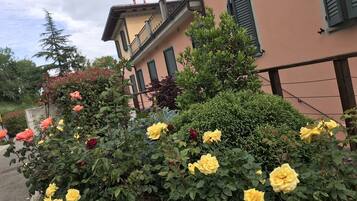 Ein Gebäude mit Balkon und einem Garten mit gelben Rosen.