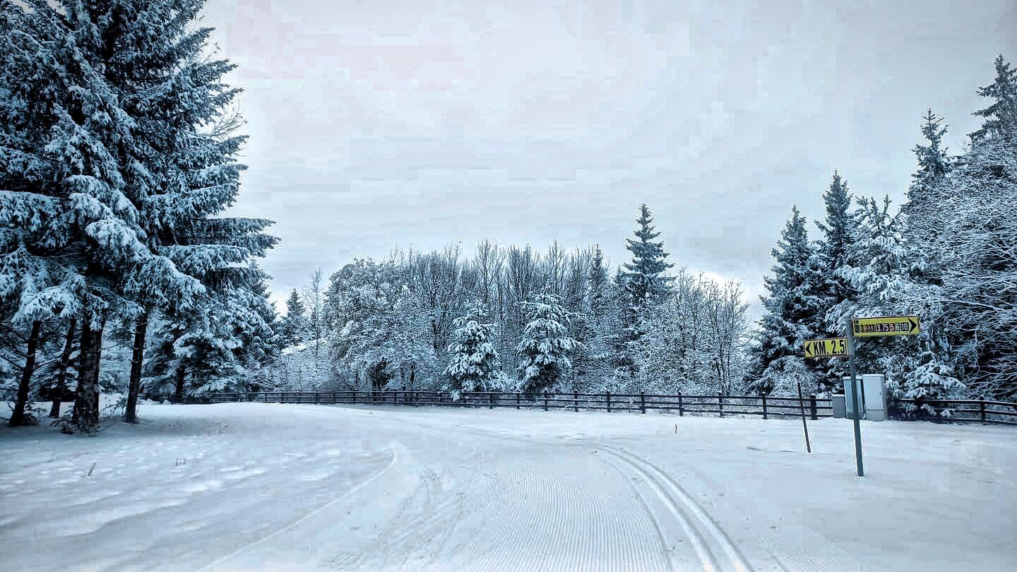 Carretera cubierta de nieve con señal de límite de velocidad que indica 2.5 km/h.