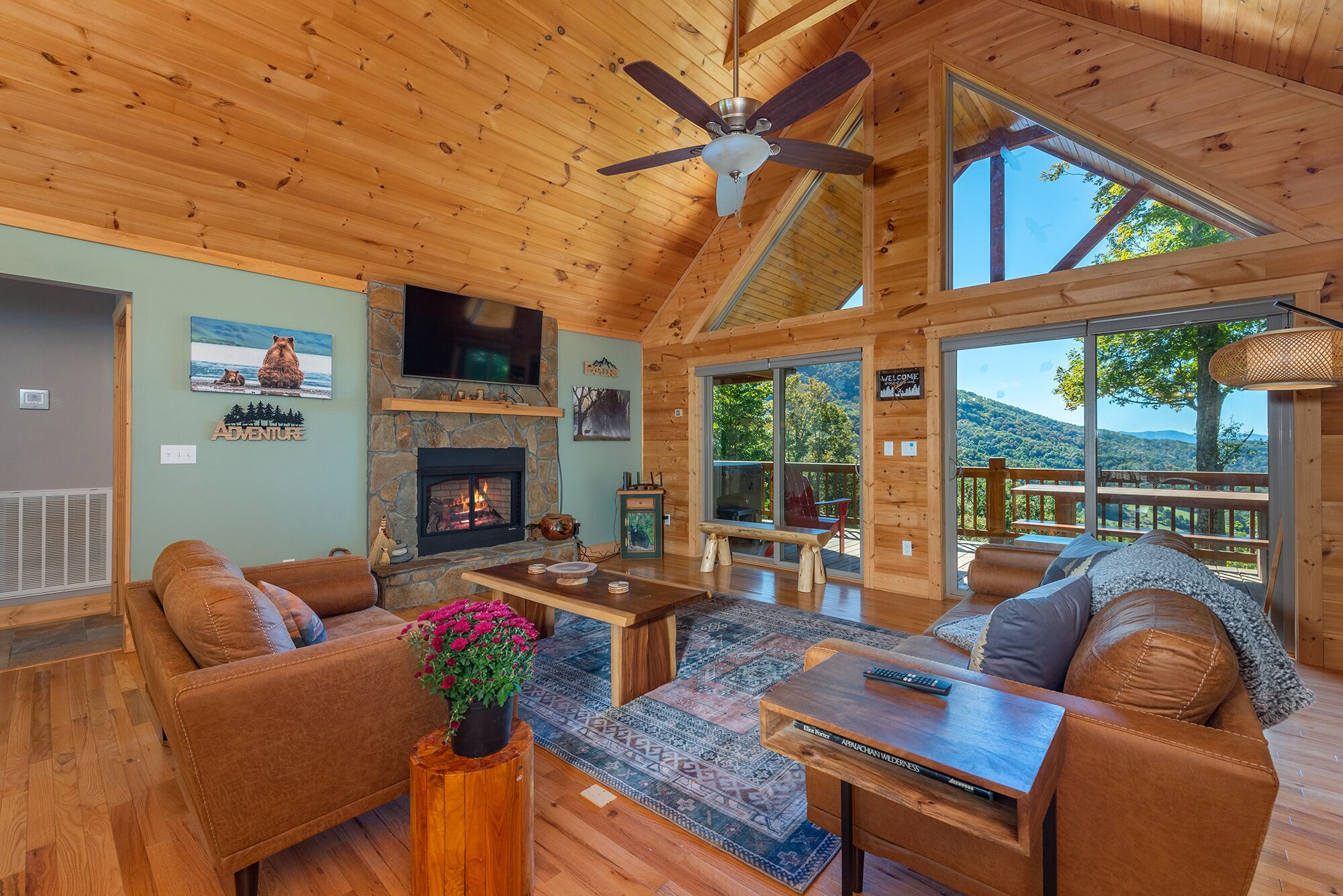 Smart TV, fireplace, books