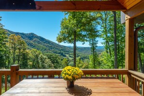Property grounds - Stunning Mtn Views, Hot Tub+Fire Pit, Fireplace~Grill, WiFi, Private, Near Town! (Bakersville)