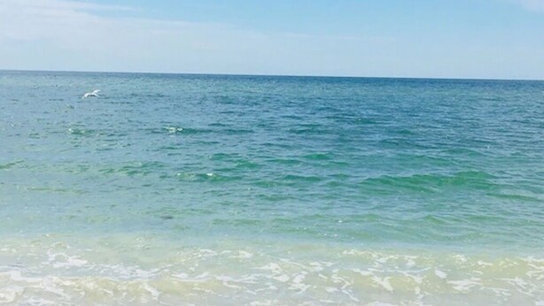 A beach with clear water and a white sandy shore. - Top Floor Condo with Panoramic View of Golf Course & Lake (Naples)