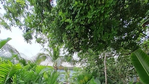 Garden view - Awa Playacar 8 Pax 3BR Deluxe in Jungle (Playa del Carmen)
