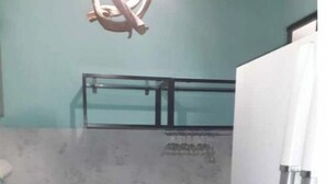 Eine kleine Küche mit Spüle, einem Edelstahl-Kühlschrank und einem Mülleimer.