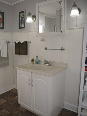 Combined shower/bathtub, hair dryer, towels