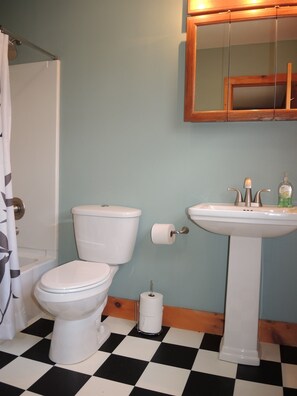Ensemble douche/baignoire, sèche-cheveux, serviettes fournies