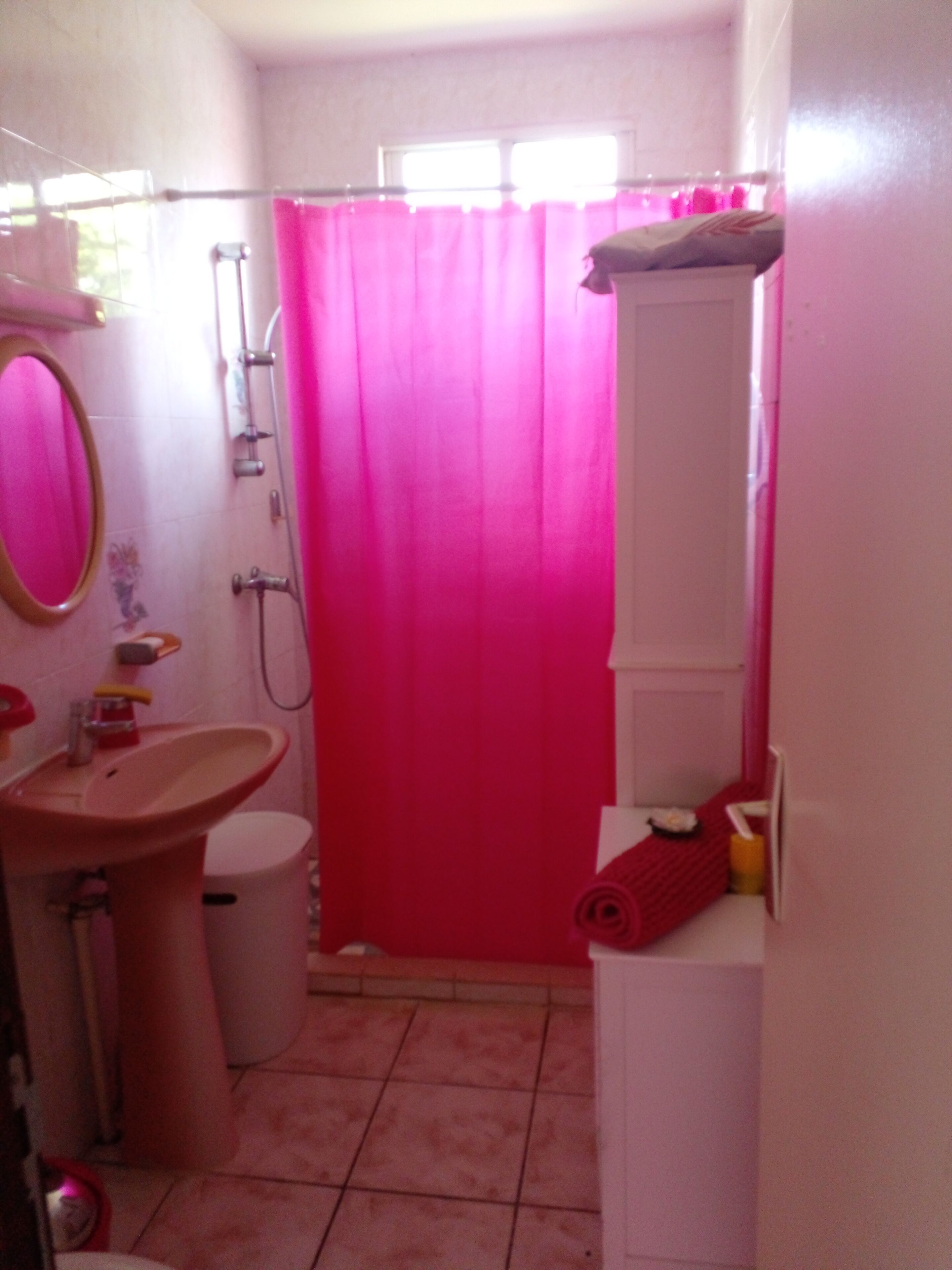 Een badkamer met een roze douchegordijn, een wastafel, een spiegel en een toilet.