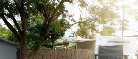A backyard with a table and chairs, a tree, and a fence.