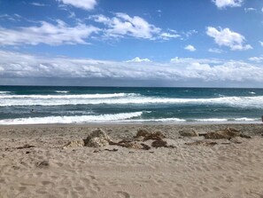 Plage à proximité, chaises longues, serviettes de plage