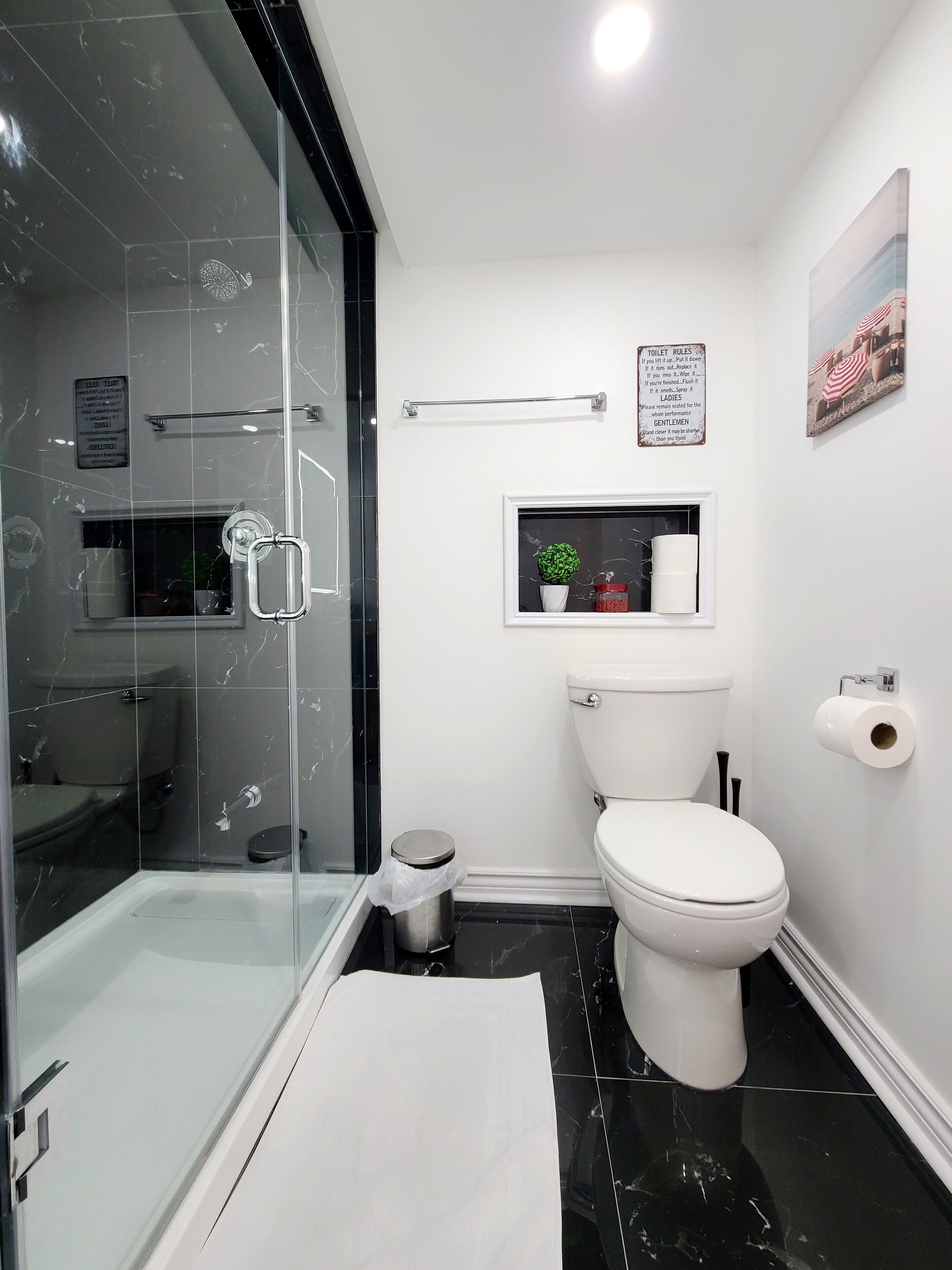 Shower, hair dryer, bidet, towels