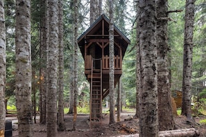 Una casa en el árbol de madera con una escalera, rodeada de altos abedules en un bosque.