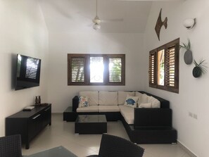 Téléviseur connecté, Netflix, services de diffusion en continu