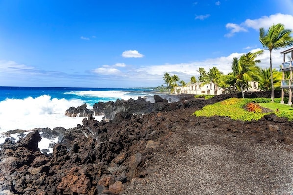 A coastal hotel with a rocky shoreline, palm trees, and ocean views.