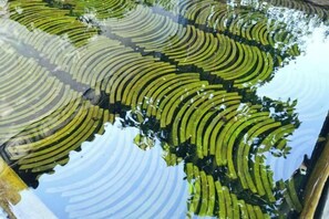 Miscellaneous - Dali Village Inn (Dali)