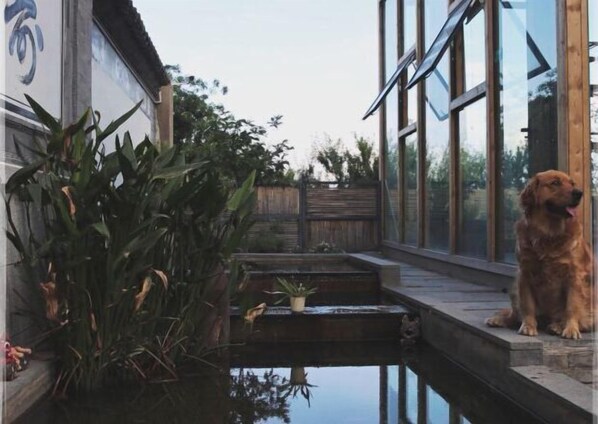 Property grounds - Dali Village Inn (Dali)