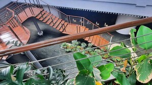 A spiral staircase with metal railings and a concrete floor, surrounded by green plants.
