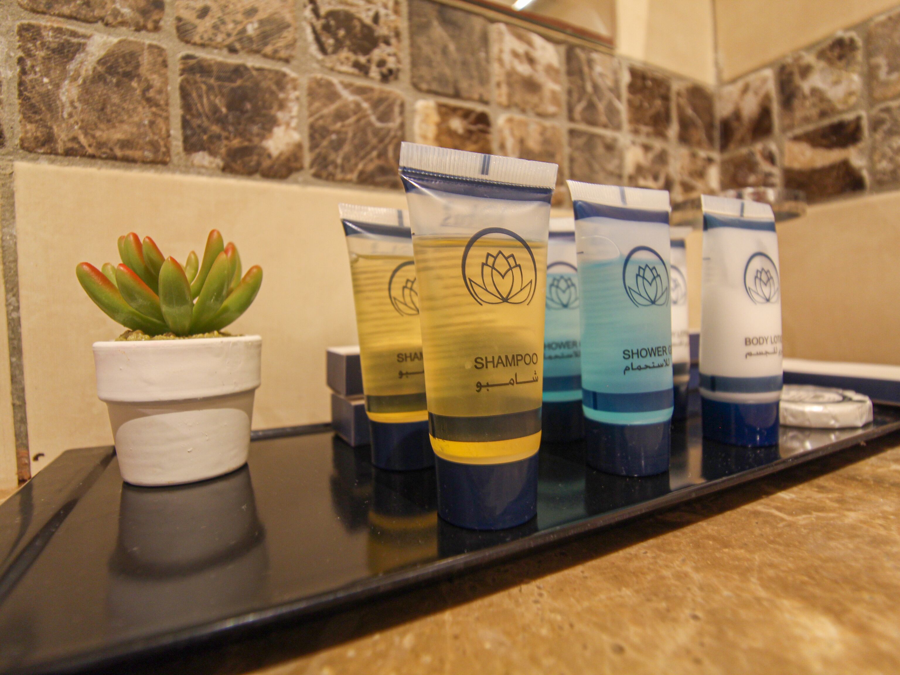 A bathroom counter with toiletries including shampoo and body lotion.