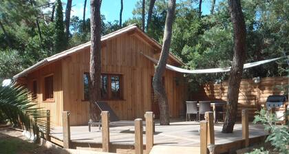 Cabane ferret capienne à 5 mn à pied du bassin ou de l'océan