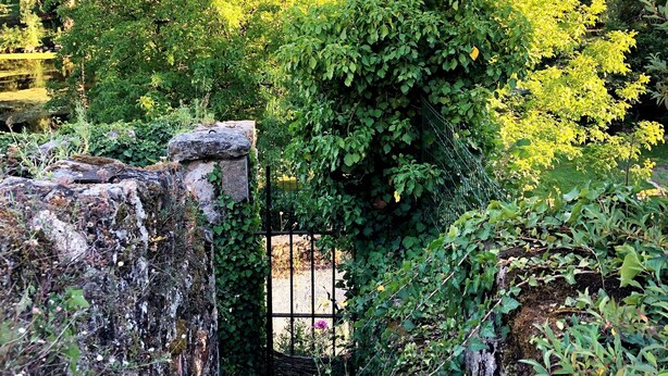 Un arc en pierre rustique, entouré d’une végétation luxuriante et de différentes espèces de plantes.