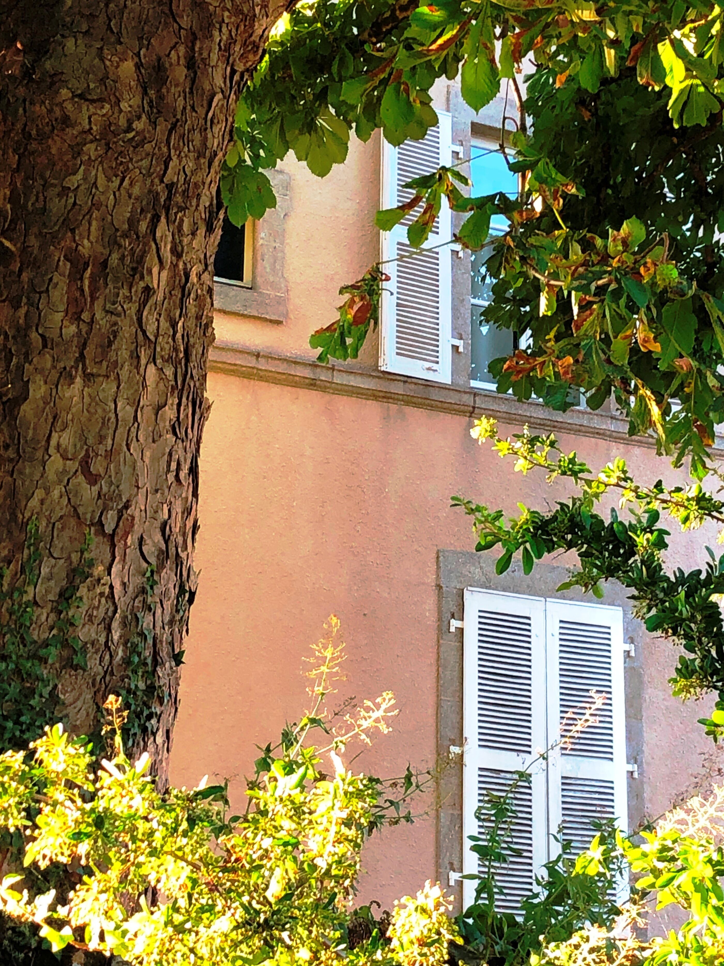 Bagian depan properti