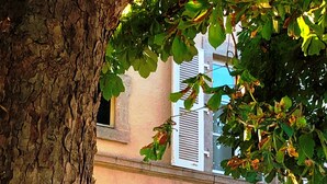 Un bâtiment doté de deux fenêtres, dont une avec des volets et l’autre sans, entouré d’arbres et de feuillage.