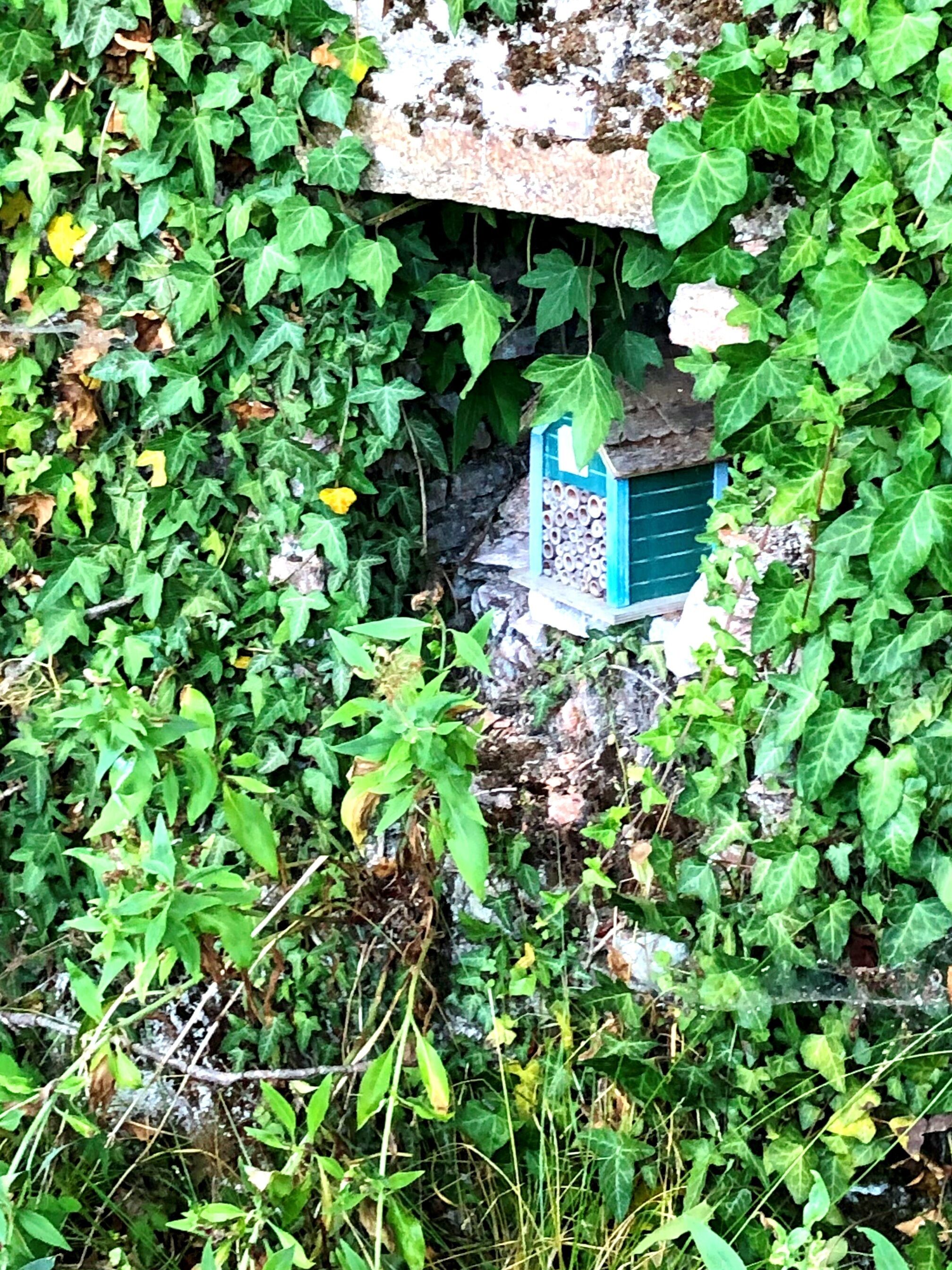 Un casita para pájaros azul, parcialmente cubierta por follaje verde y denso.