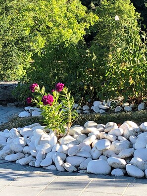 Exterior - Vallée 1900 (Sèvremoine)