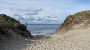 Una playa arenosa con dunas y una vista despejada del océano.