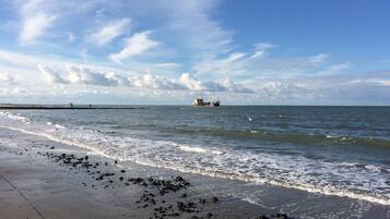 Playa en los alrededores y camastros