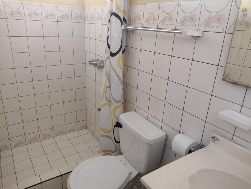 standard double room | bathroom | shower, free toiletries, towels, soap
