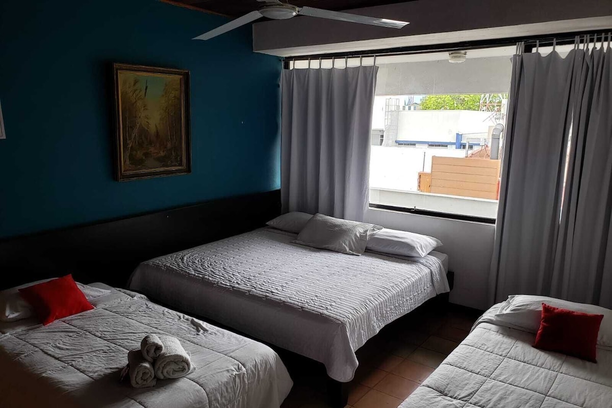 Premium bedding, iron/ironing board (on request), WiFi (free)