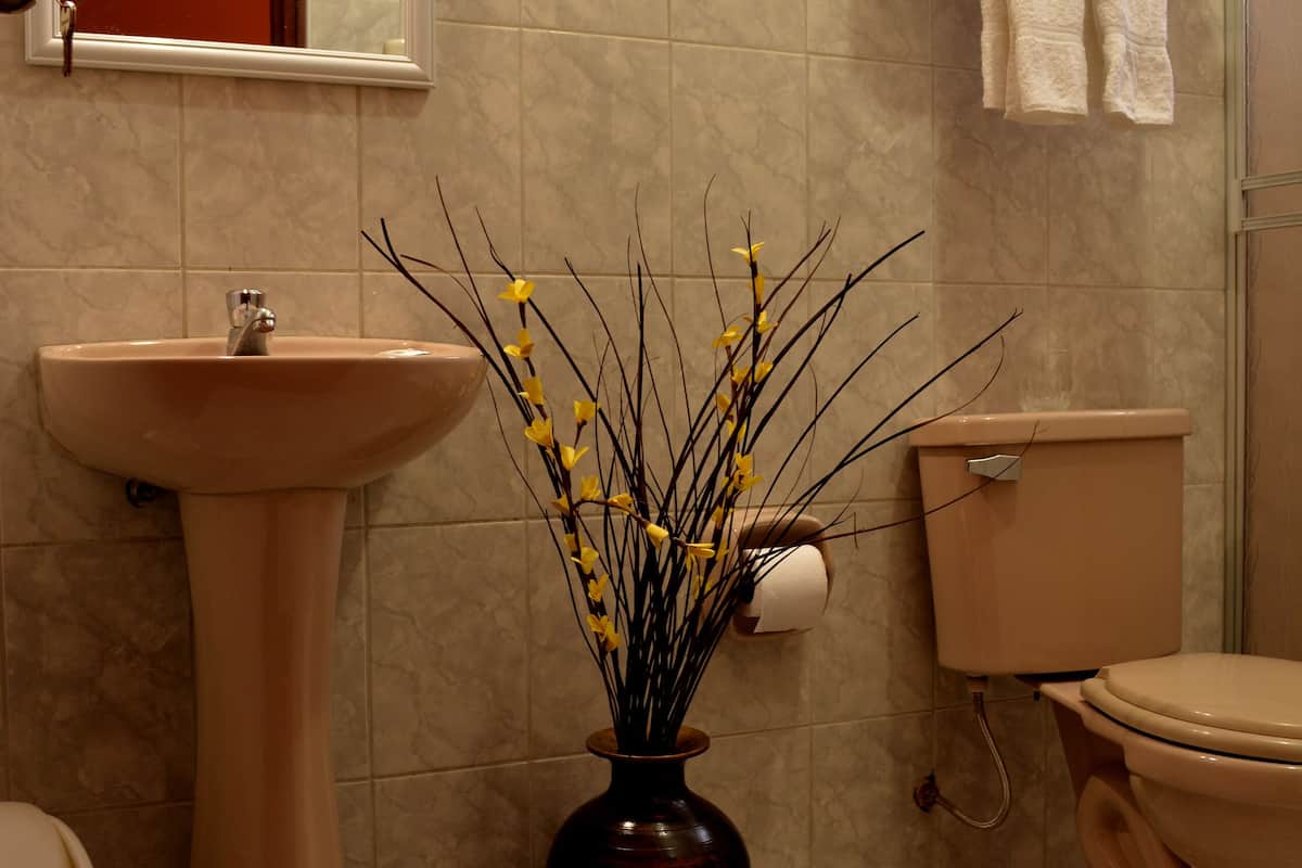 family triple room, mixed dorm, city view | bathroom | rainfall showerhead, free toiletries, towels