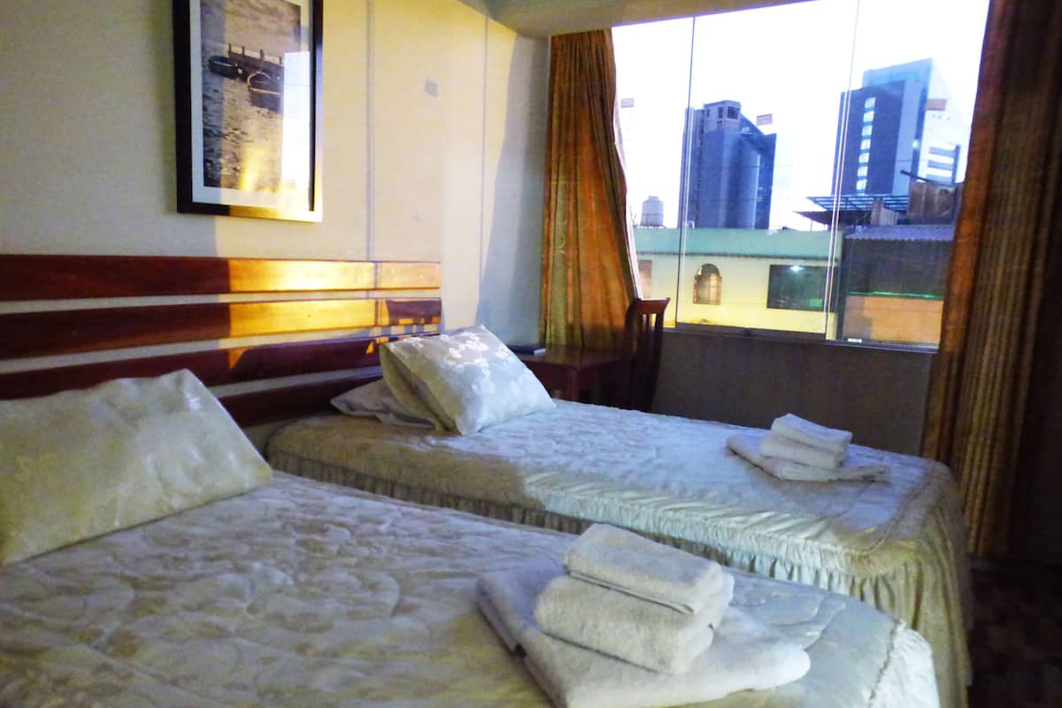 panoramic twin room, mixed dorm | desk, free wifi